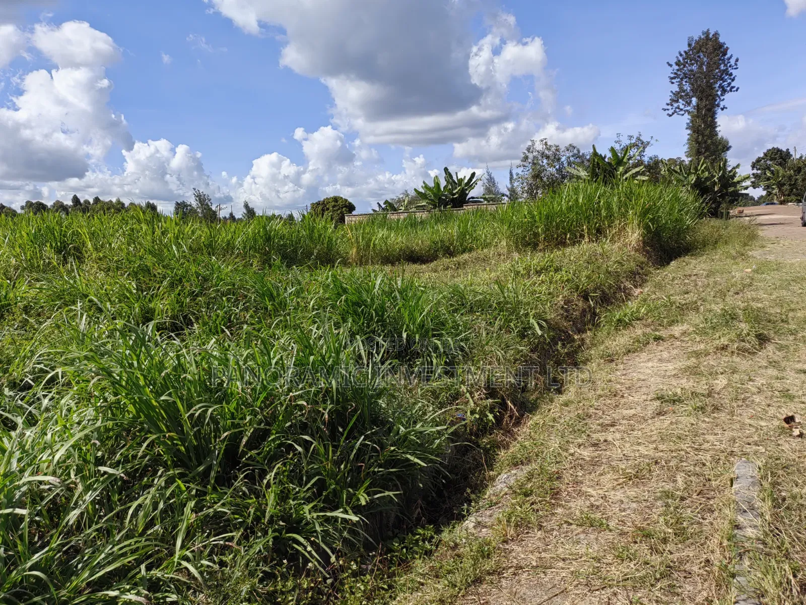 100x100 Plot for Sale in Kabiria