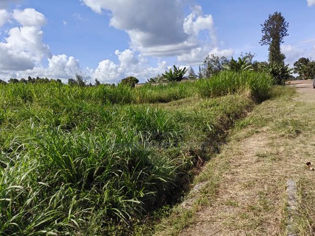 100x100 Plot for Sale in Kabiria - thumbnail 10