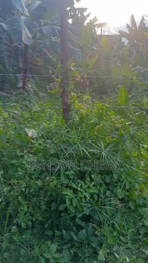 50by100plot for Sale in Maragua Town