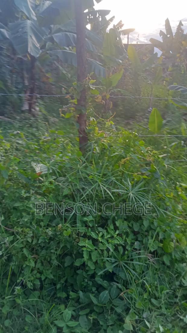 50by100plot for Sale in Maragua Town - thumbnail 5