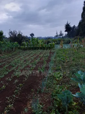 3⁄4 Acre Gitithia, Uplands