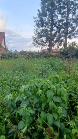 100by100 Plot for Sale in Maragua Town