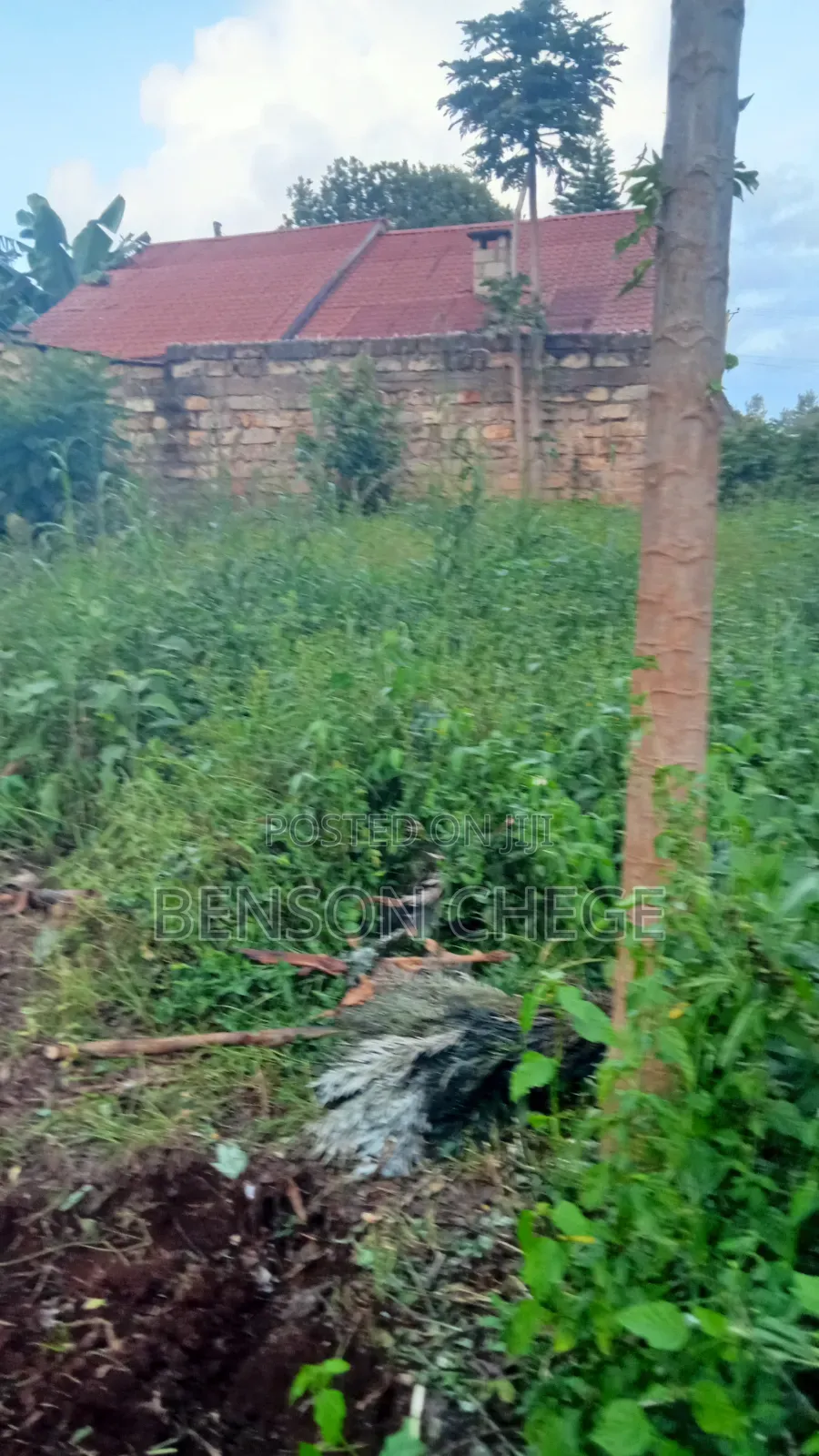 100by100 Plot for Sale in Maragua Town
