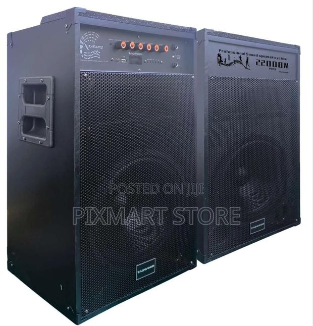 Tagwood 12d Speaker System With 2 Mics