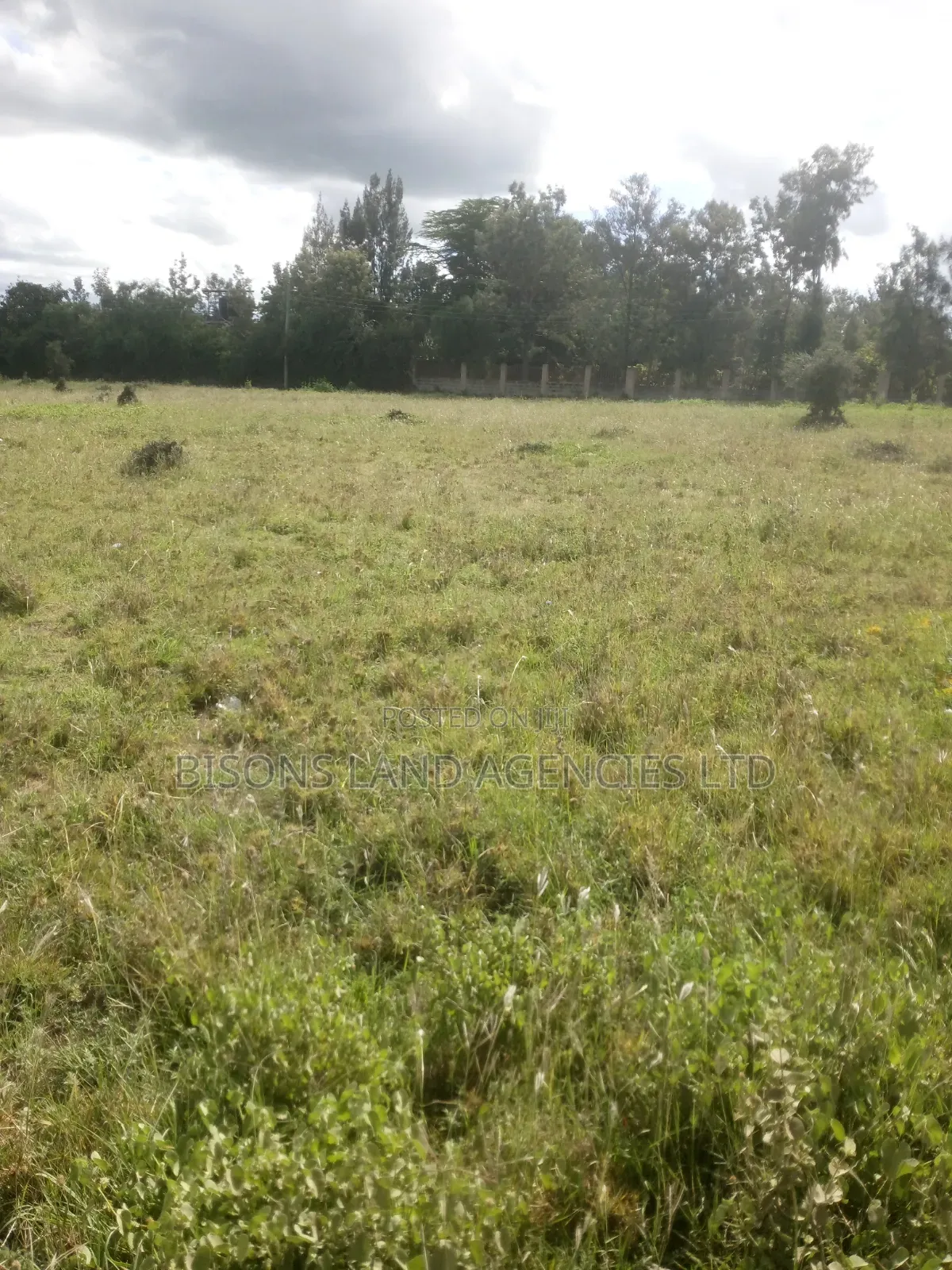 Available 200 Acres Land for Sale