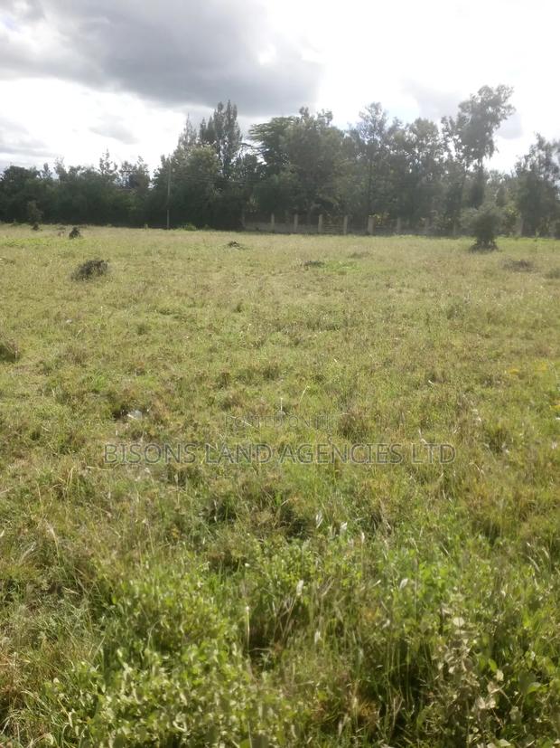 Available 200 Acres Land for Sale - thumbnail 2