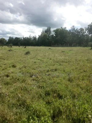 Available 200 Acres Land for Sale