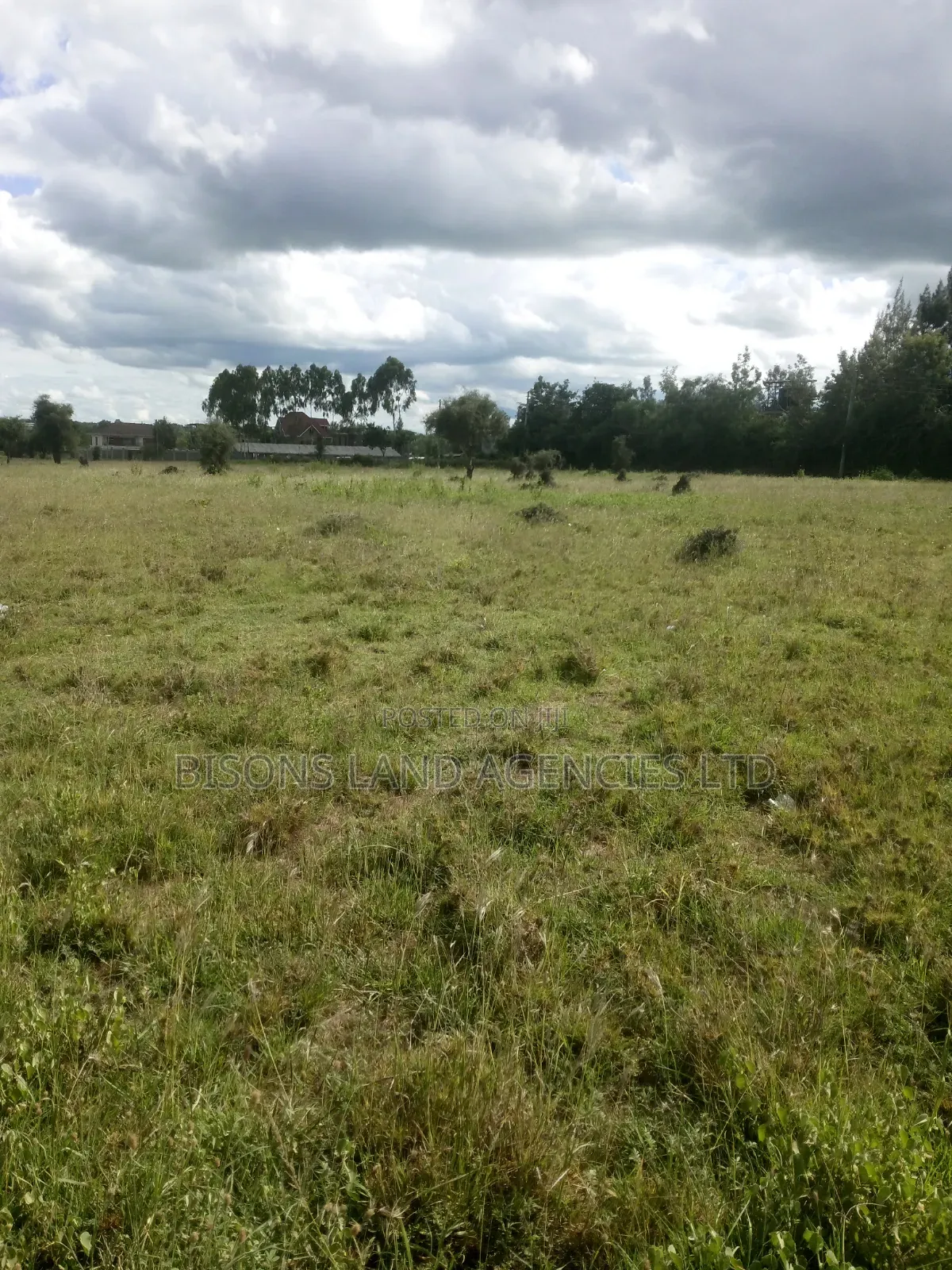 Available 200 Acres Land for Sale