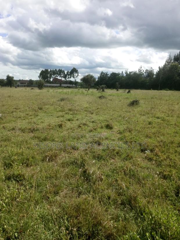Available 200 Acres Land for Sale - thumbnail 4