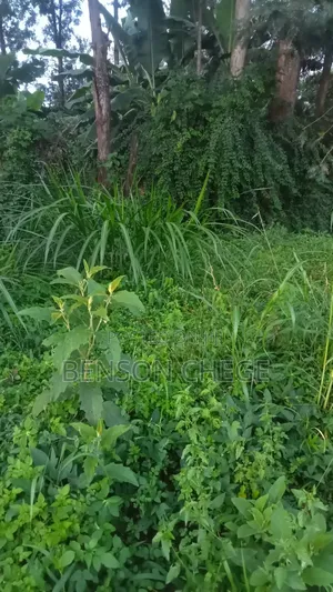 100by80 Plot for Sale in Maragua Town