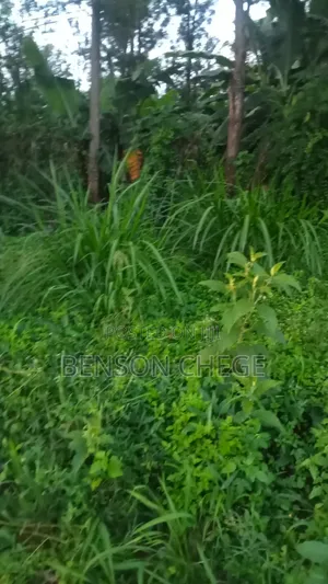 100by80 Plot for Sale in Maragua Town