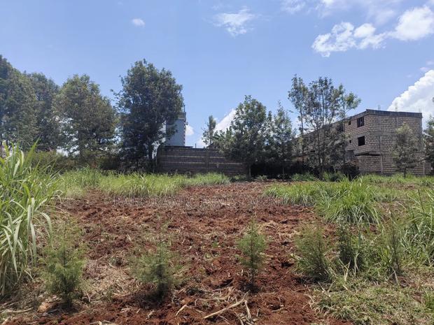 75by100 Plot for Sale in Gikambura Kikuyu Kiambu County. - thumbnail 5