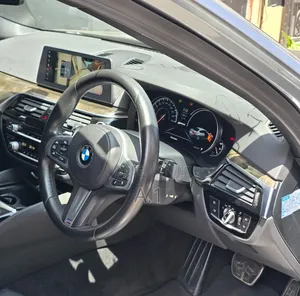 BMW 530 2019 Gray
