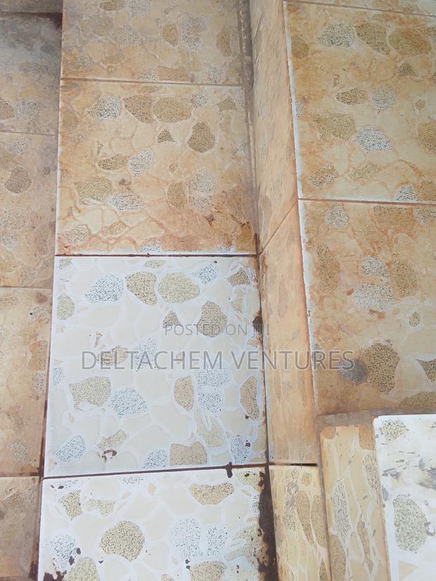 Tiles And Toilet Cleaner