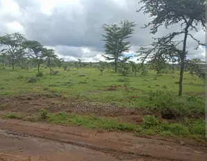 50x100 Prime Residential Plot in Olooltepes