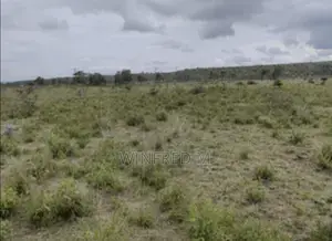 50x100 Prime Residential Plot in Olooltepes