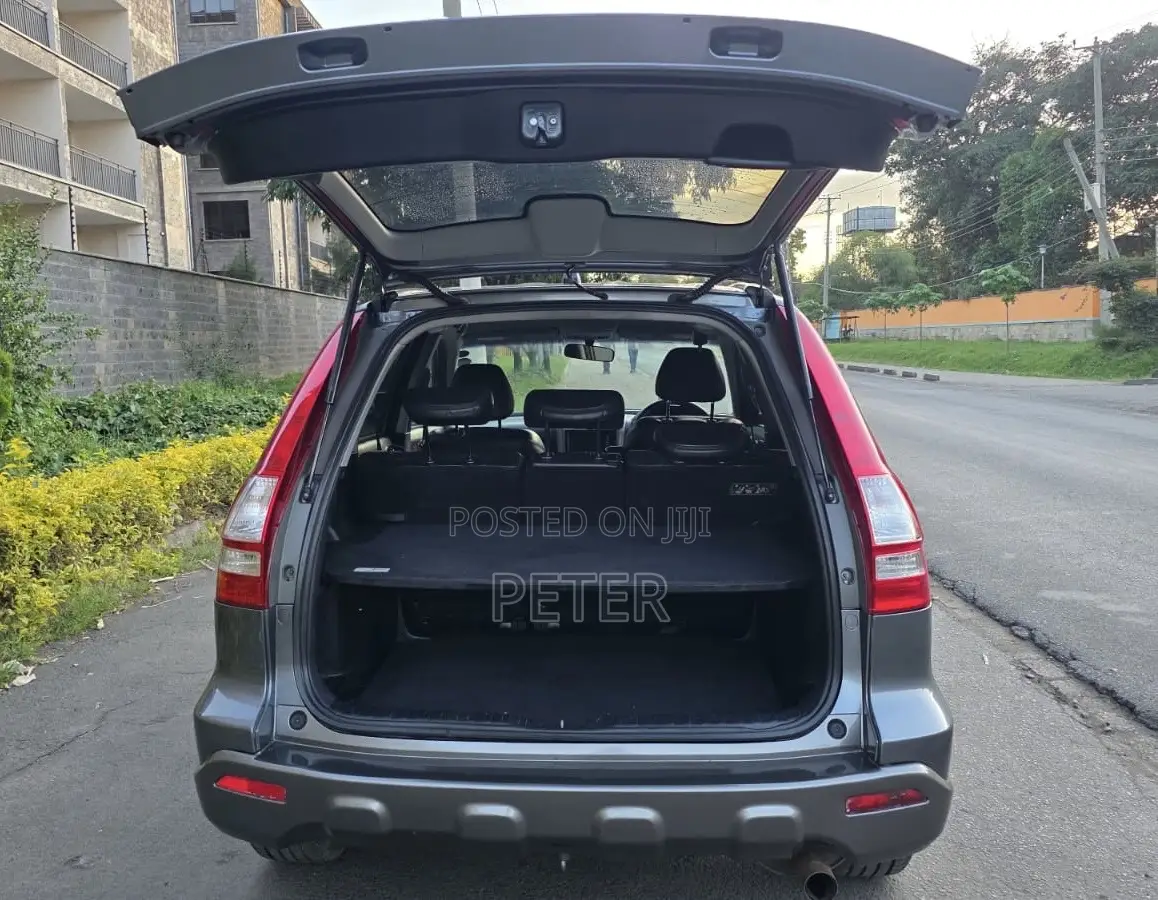 Honda CR-V 2010 Gray