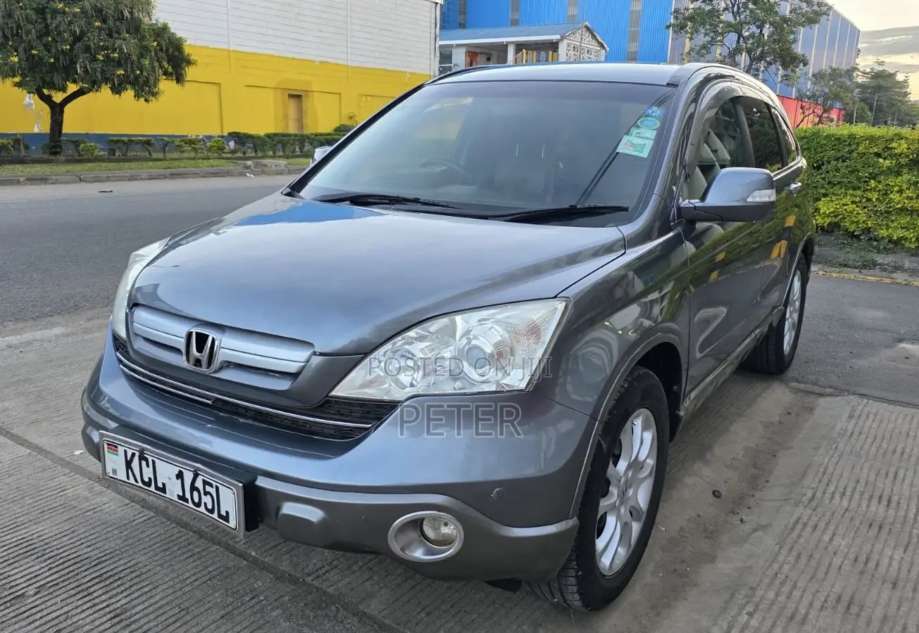 Honda CR-V 2010 Gray