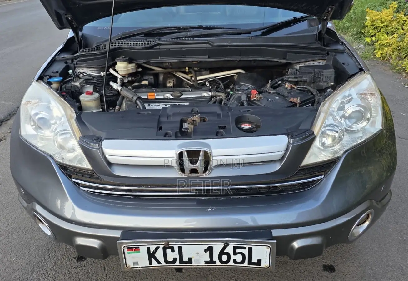 Honda CR-V 2010 Gray