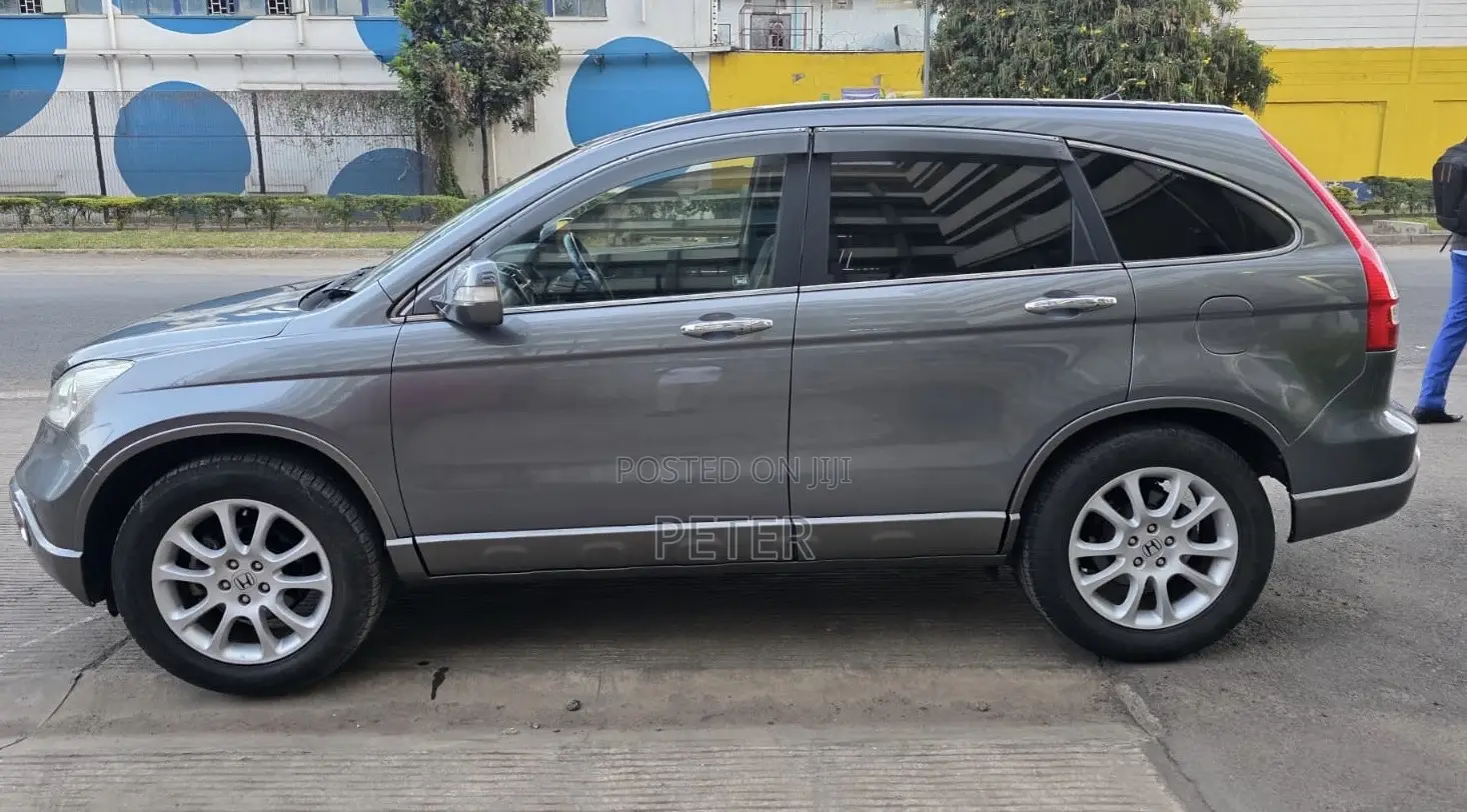 Honda CR-V 2010 Gray