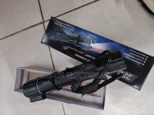 Flashlight With Laser