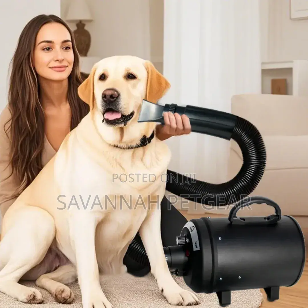 Professional Dog Grooming Tool Pet Dryer Machine