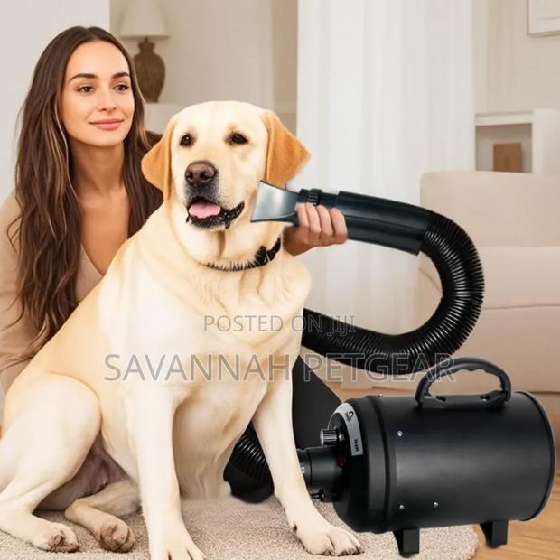 Professional Dog Grooming Tool Pet Dryer Machine - main view
