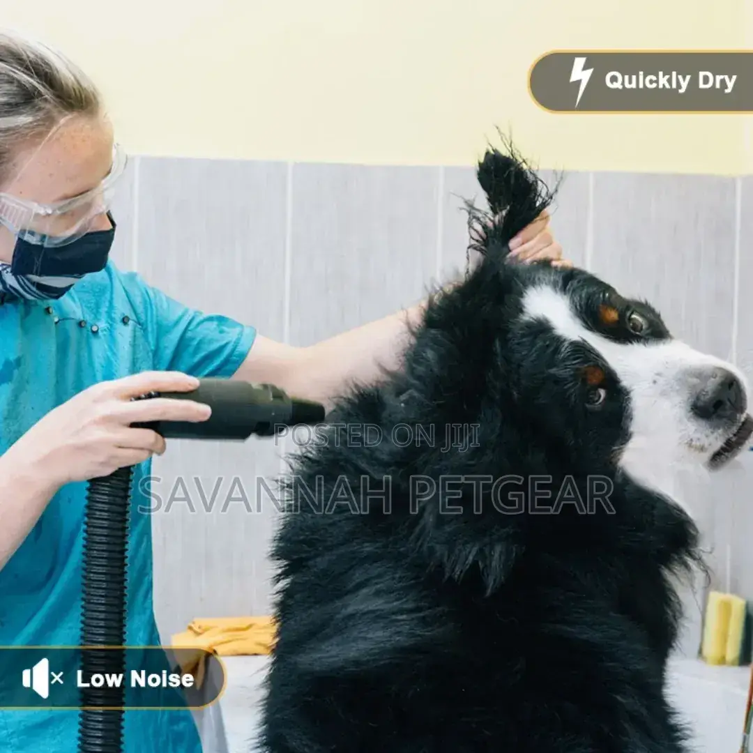 Professional Dog Grooming Tool Pet Dryer Machine