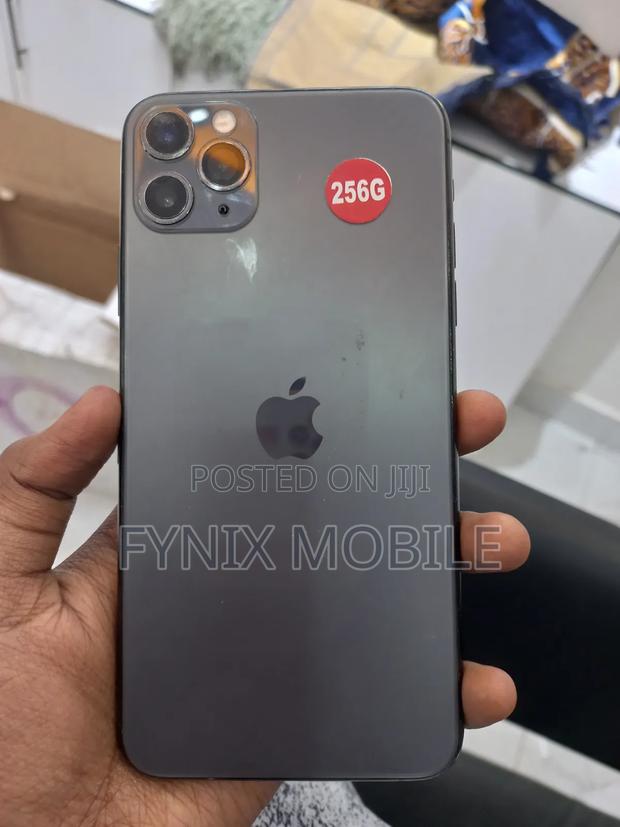 Apple iPhone 11 Pro Max 256 GB Gray