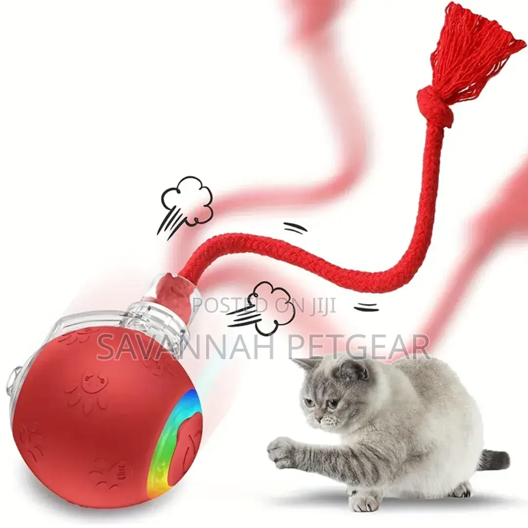 Smart Cat Interactive Toy Ball Type-C Rechargeable Intelligent Toy