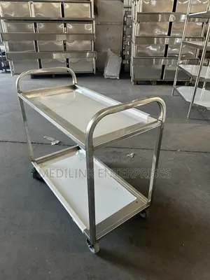 Modern Ss 304 Hospital Two Tyer Trolley