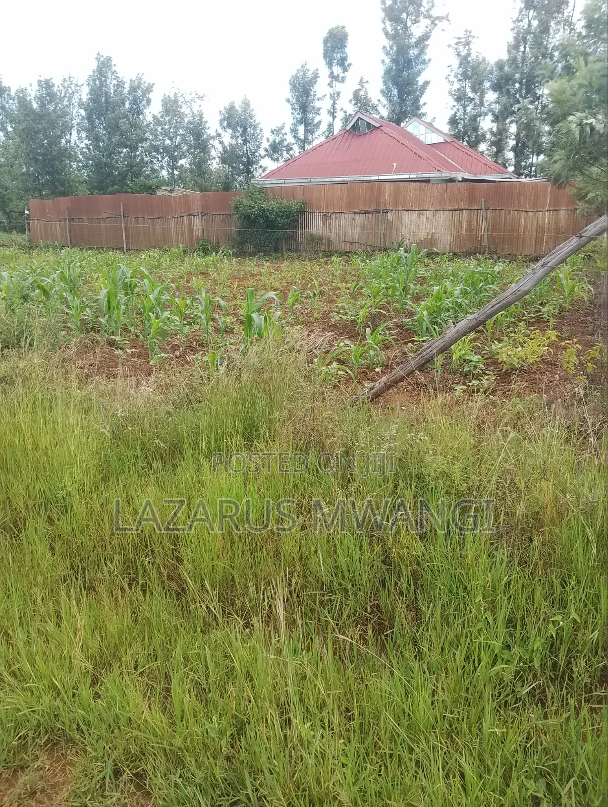 Eigth Plot for Sale at P. I Mwea 850 MTRS From Highway
