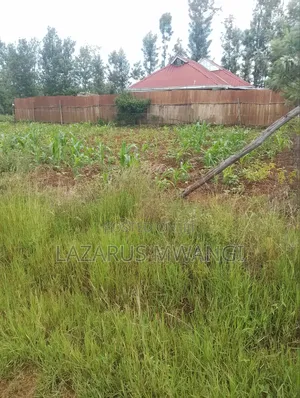 Eigth Plot for Sale at P. I Mwea 850 MTRS From Highway