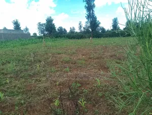 Eigth Plot for Sale at P. I Mwea 850 MTRS From Highway