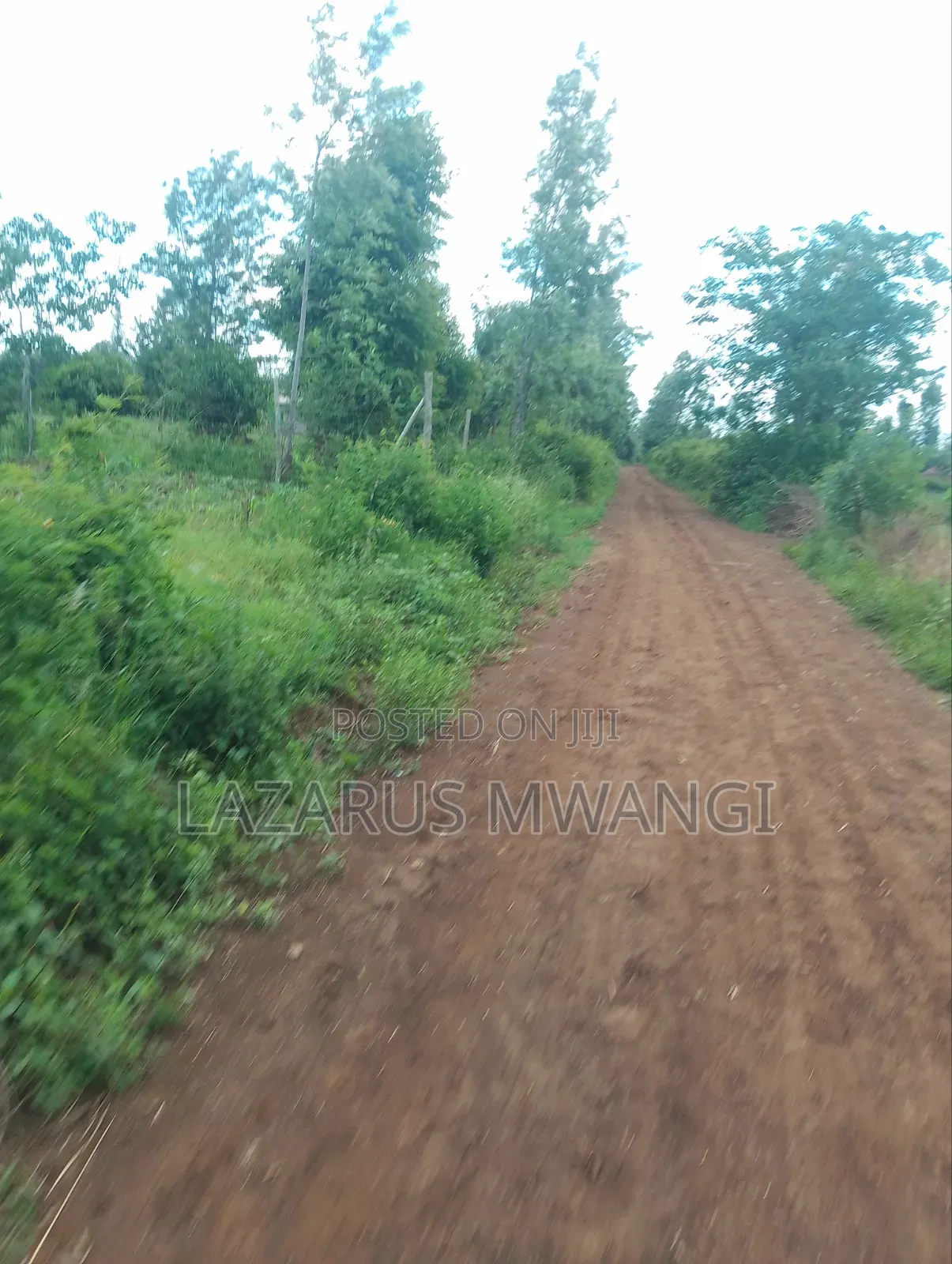 Eigth Plot for Sale at P. I Mwea 850 MTRS From Highway