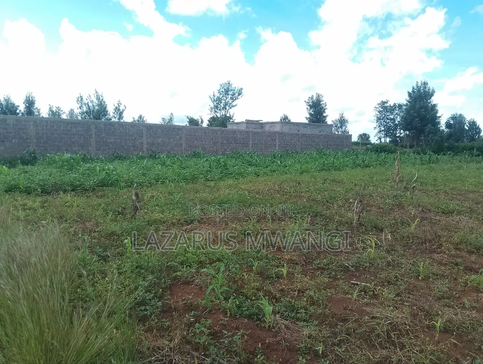 Eigth Plot for Sale at P. I Mwea 850 MTRS From Highway