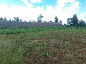 Eigth Plot for Sale at P. I Mwea 850 MTRS From Highway
