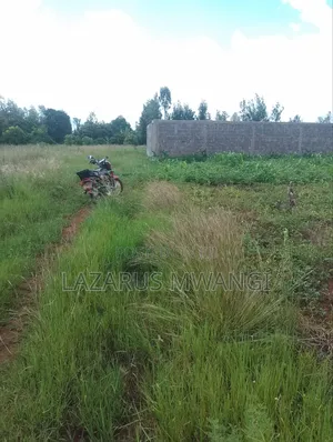 Eigth Plot for Sale at P. I Mwea 850 MTRS From Highway