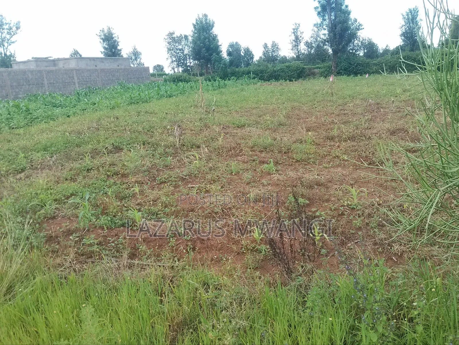 Eigth Plot for Sale at P. I Mwea 850 MTRS From Highway