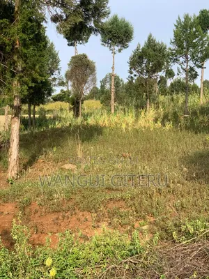 50 X 100 Plots: Prime Nanyuki-Timau (Ethi) Plots!