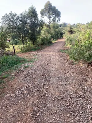 50 X 100 Plots: Prime Nanyuki-Timau (Ethi) Plots!