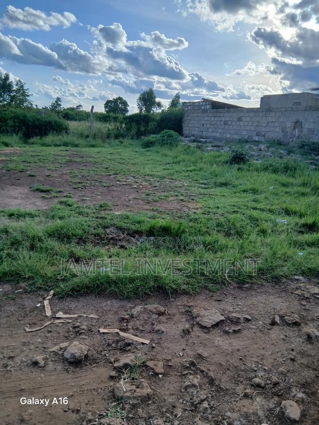 Land on Sle