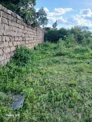 Land on Sle