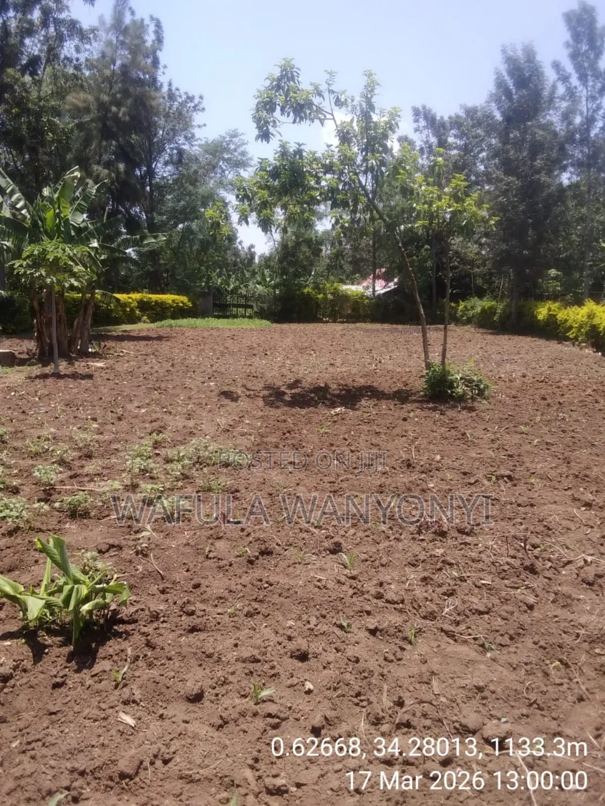 100 by 100 Kajei After Malaba