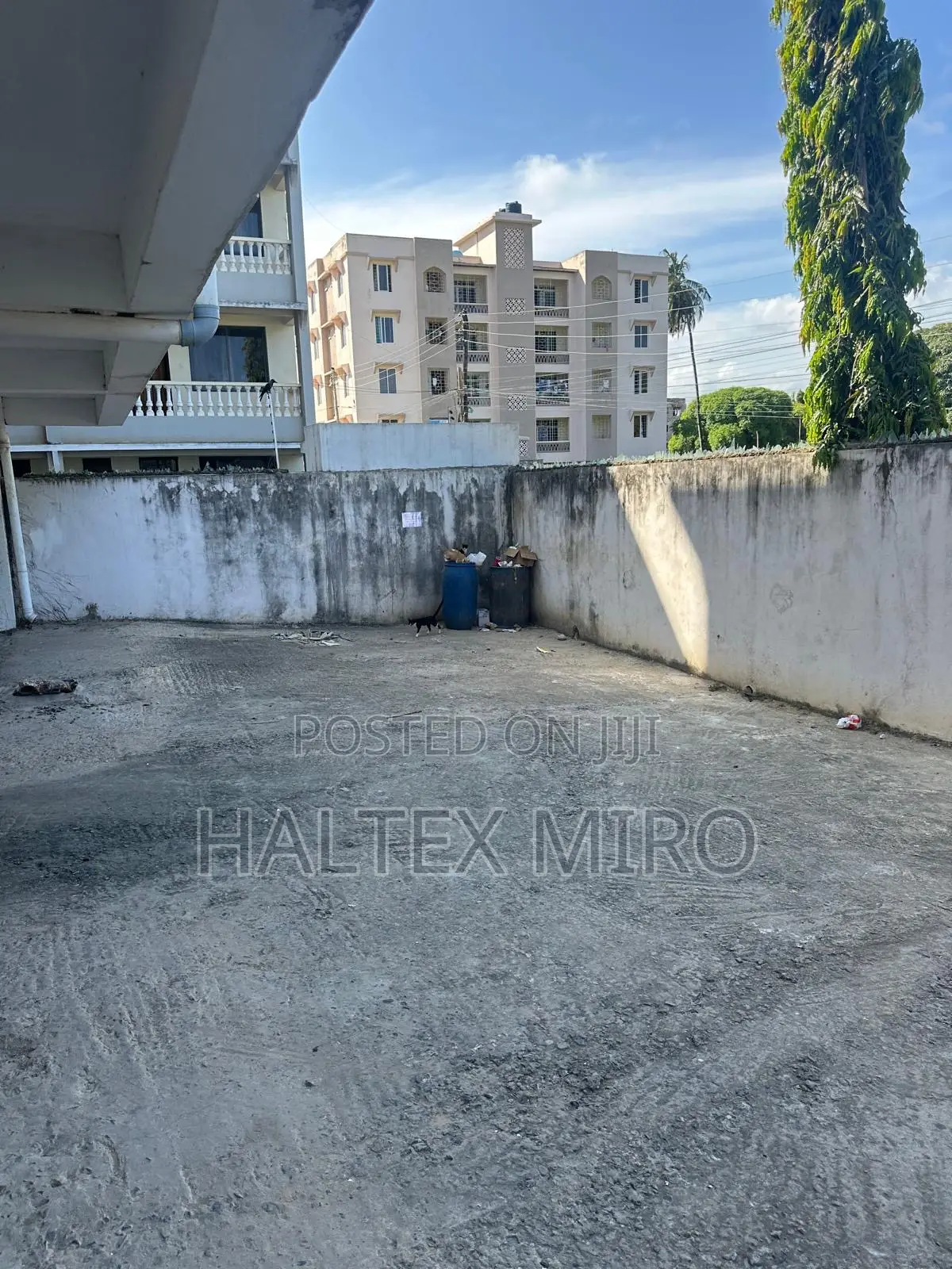 Affordable Studio Bnb In Mtwapa | Near Mango Tree | Sleeps 2–4