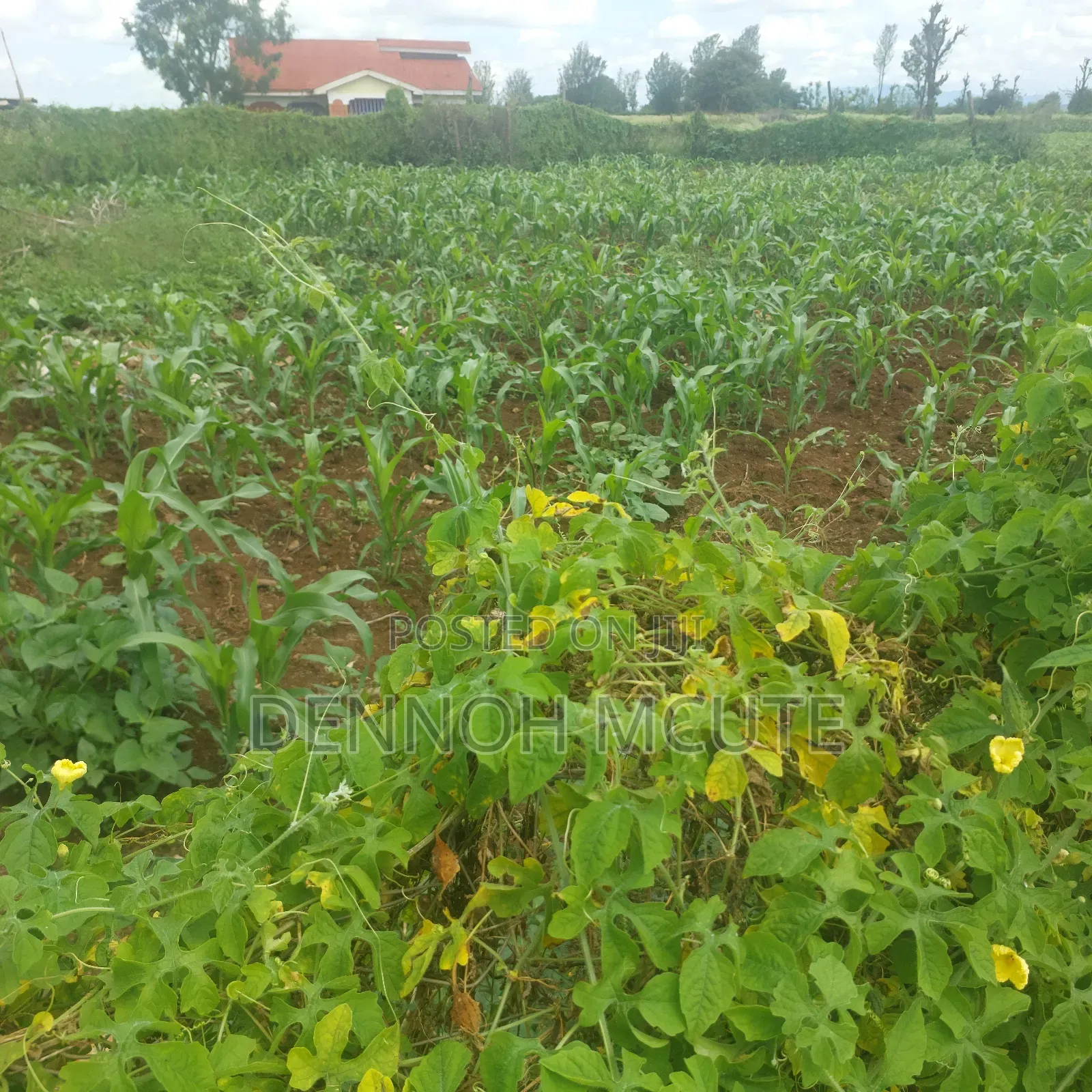 Mwea Prime Plots for Sale
