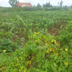 Mwea Prime Plots for Sale