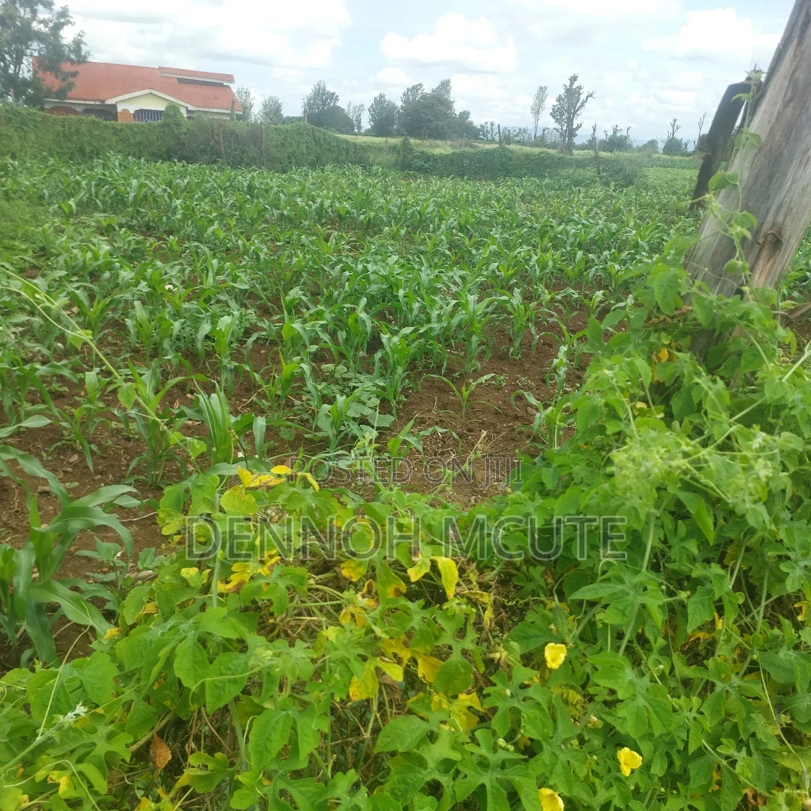 Mwea Prime Plots for Sale