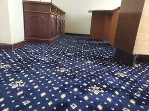 Deluxe Ceo Office Carpet | Plush Executive Flooring