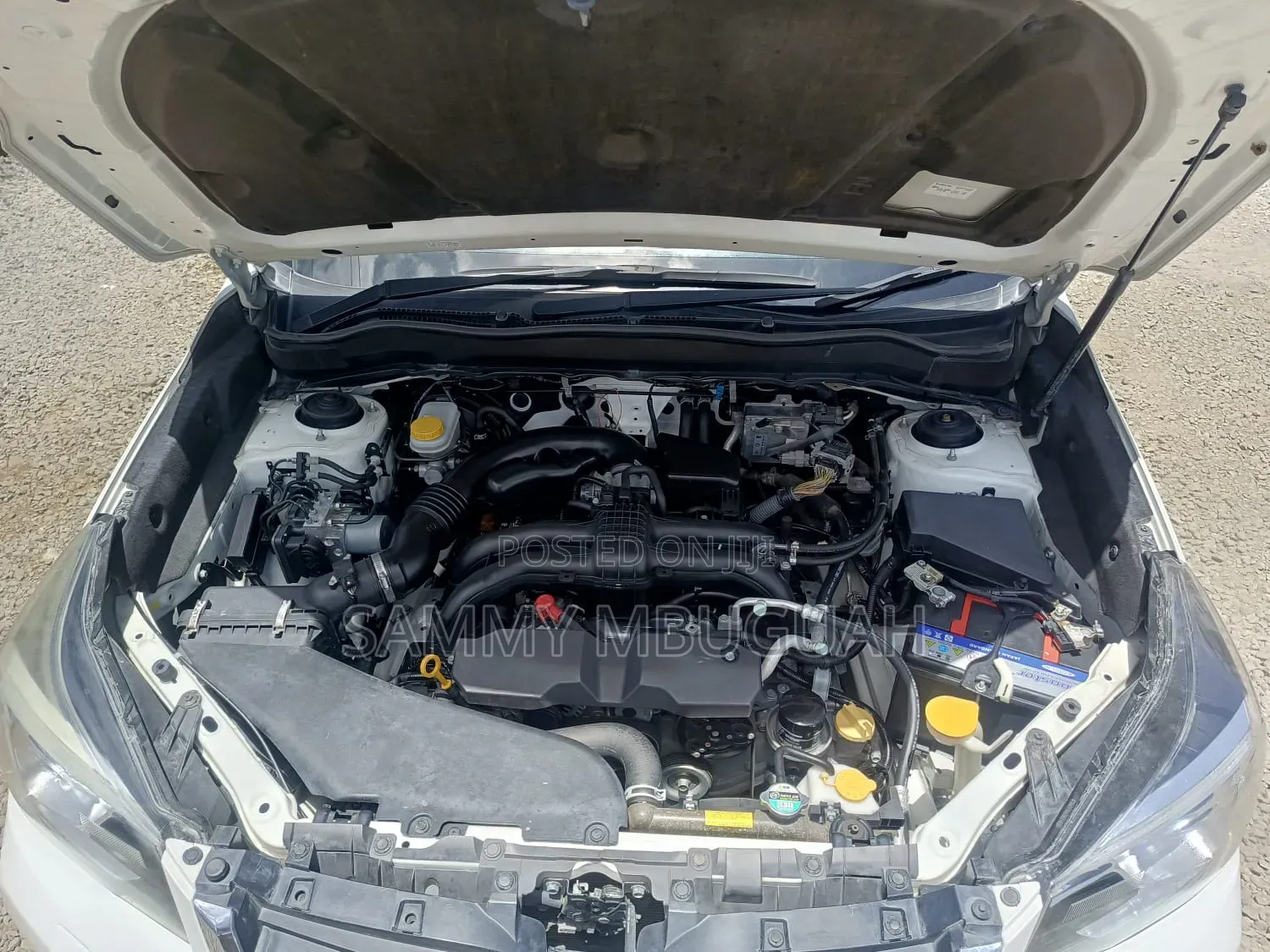 Subaru Forester 2016 Pearl